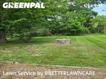 Lawn mowed in Meridian Charter Township, 48864