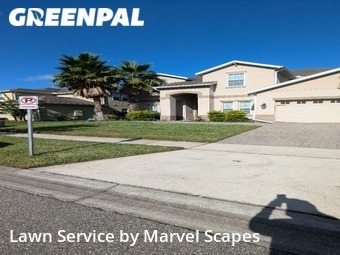 Grass Cut nearby Orlando, FL, 