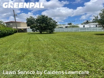 Lawn Mowing Servicein Miami,33165,Yard Cutting by Caidens Lawncare , work completed in Jun , 2026