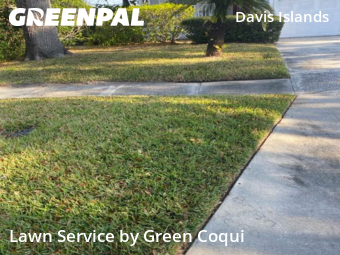 Yard Mowingin Tampa,33606,Grass Cutting by Green Coqui, work completed in Feb , 2026