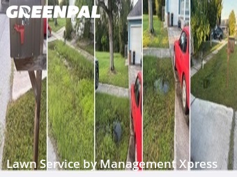Lawn Cut nearby Punta Gorda, FL, 