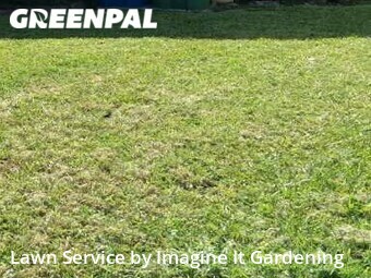 Lawn Cutting nearby Miami, FL, 