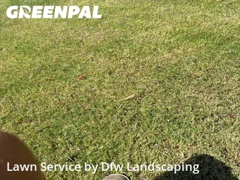 Landscaping Companies In Lewisville,75028,Landscaping by Dfw Landscaping , work completed in Jul , 2026