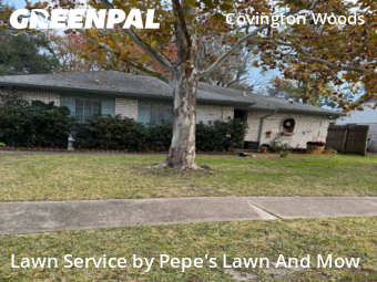 Lawn Mowin Sugar Land,77498,Lawn Maintenance by Pepe's Lawn And Mow, work completed in Dec , 2025