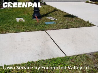 Lawn Care nearby Daytona Beach, FL, 