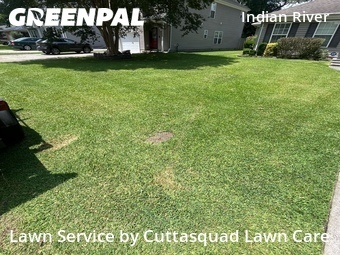 Yard Mowing nearby Chesapeake, VA, 