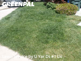 Lawn Mowing Service nearby Modesto, CA, 