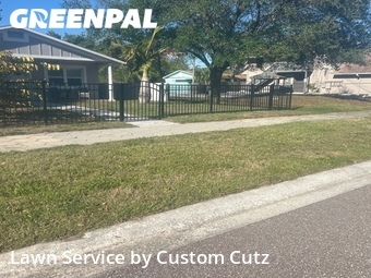 Yard Mowing nearby St. Petersburg, FL, 