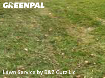 Grass Cut nearby Evansville, IN, 