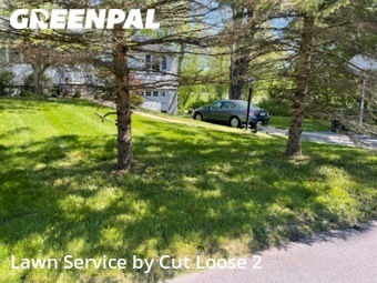Lawn Cut nearby Danbury, CT, 