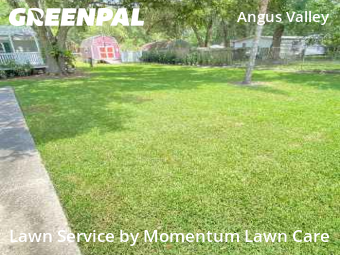 Lawn Mow nearby Wesley Chapel, FL, 