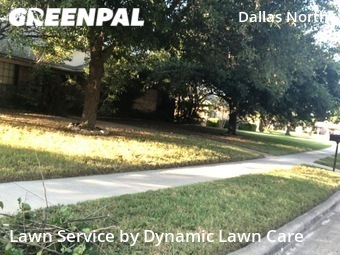 Lawn Maintenance nearby Plano, TX, 