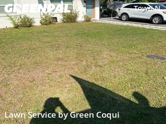 Lawn Mow nearby Tampa, FL, 