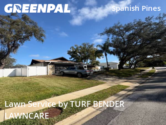 Grass Cutin Dunedin,34698,Grass Cutting by TURF BENDER LAWNCARE, work completed in Feb , 2026