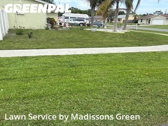 Grass Cut nearby Royal Palm Beach, FL, 