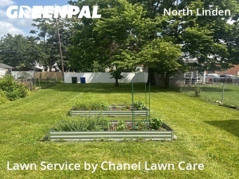 Grass Cut nearby Columbus, OH, 