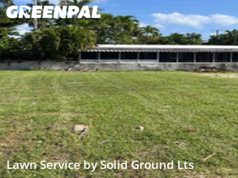 Grass Cutting nearby Hollywood, FL, 