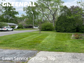 Lawn Cut nearby Oak Ridge, TN, 