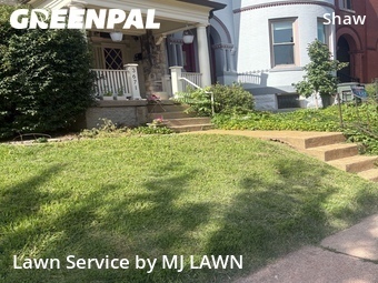 Lawn Cutting nearby St. Louis, MO, 