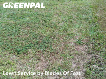 Weed Trimming in Fairburn, 30213, Yard Management by Blades Of Fast, work completed in Nov , 2025