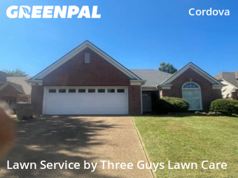 Yard Grooming in Cordova, 38016, Yard Maintenance by Three Guys Lawn Care, work completed in Dec , 2025