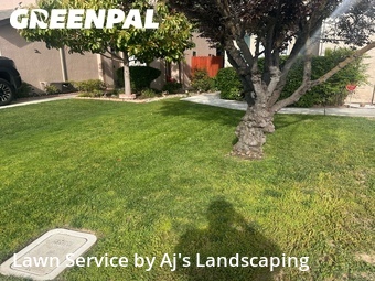 Lawn Cutting nearby Manteca, CA, 