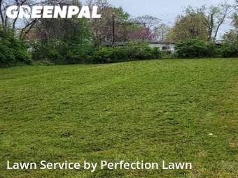 Lawn Care Service nearby Independence, MO, 