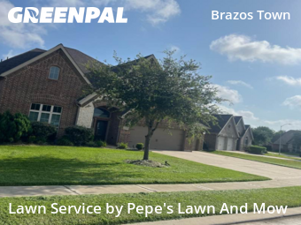 Yard Mowingin Rosenberg,77471,Yard Mowing by Pepe's Lawn And Mow, work completed in Nov , 2025