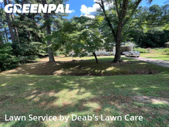 Lawn Care nearby Browns Summit, NC, 