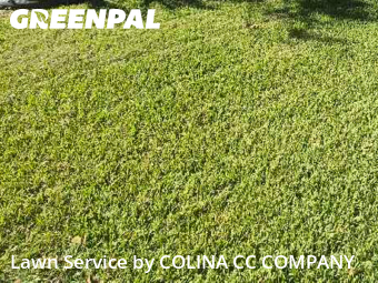 Lawn Servicein Grapevine,76051,Lawn Mow by COLINA CC COMPANY, work completed in Nov , 2025