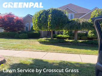 Grass Cut nearby Shelby Township, MI, 