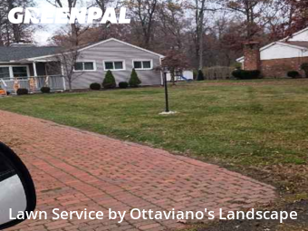 Yard Cutting nearby Marion, OH, 