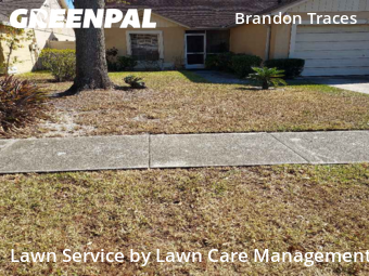 Lawn Maintenance nearby Brandon, FL, 