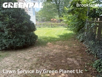 Lawn Cut nearby Washington, VA, 