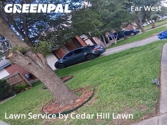Yard Cutting nearby San Antonio, TX, 