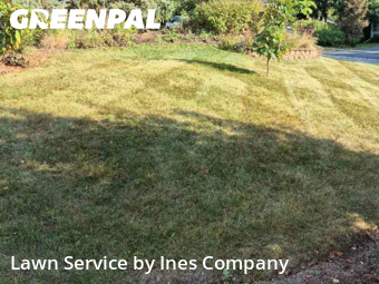 Lawn Mowing Service nearby Downers Grove, IL, 