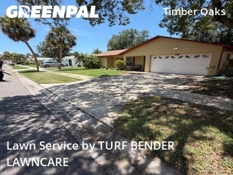 Lawn Cutting nearby Port Richey, FL, 