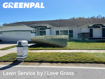 Lawn Mow nearby Land O' Lakes, FL, 