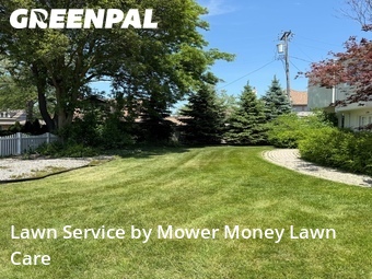 Grass Cut nearby St. Clair Shores, MI, 