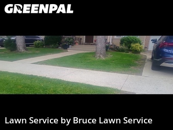 Yard Mowing nearby Franklin Park, IL, 