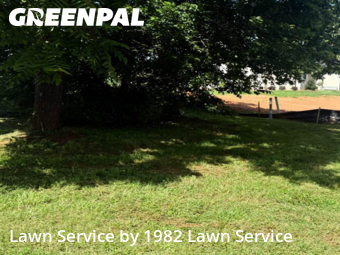 Lawn Care Service nearby Conover, NC, 