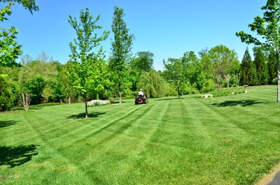 Easy Lawn Care headshot