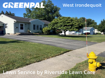Lawn Mow nearby Irondequoit, NY, 