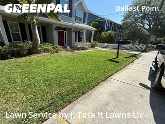 Grass Cut nearby Tampa, FL, 