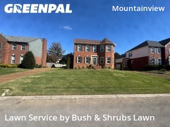 Grass Cuttingin Franklin,37064,Lawn Cut by Bush & Shrubs Lawn, work completed in Nov , 2025