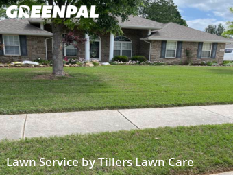 Grass Cutting nearby Owens Cross Roads, AL, 