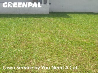 Lawn Cutin North Miami,33161,Lawn Mow by You Need A Cut , work completed in Jun , 2026