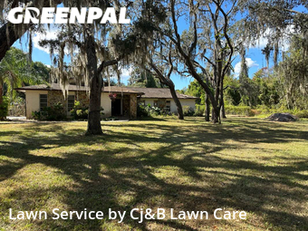 Grass Cutting nearby New Port Richey, FL, 