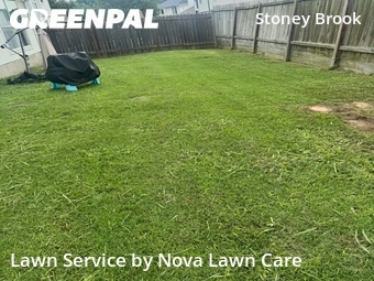 Lawn Mowing nearby Round Rock, TX, 
