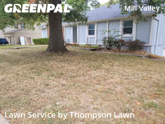 Grass Cutin Shawnee,66216,Yard Mowing by Thompson Lawn, work completed in Nov , 2025